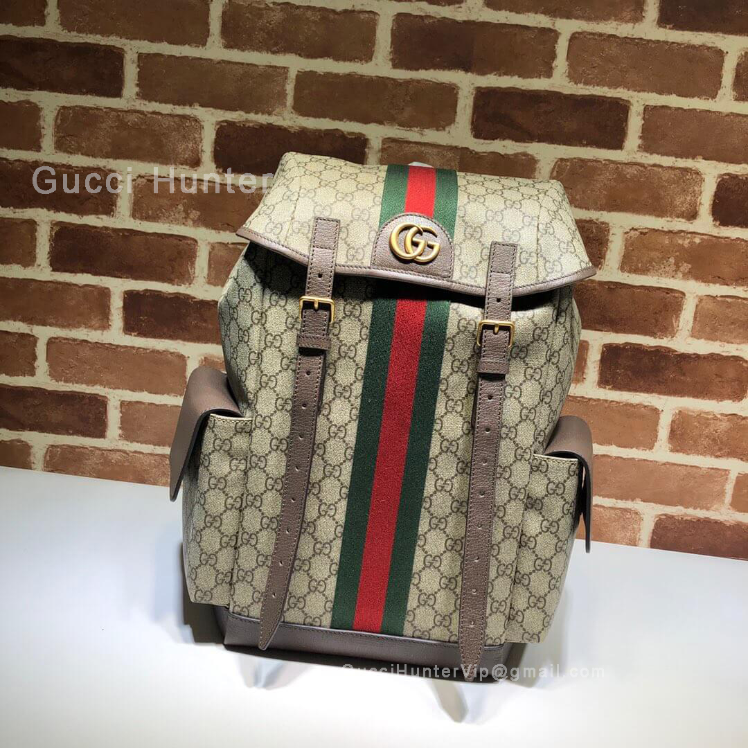Gucci Ophidia GG Medium Backpack 598140